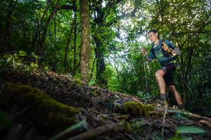 BIB: 
                            <button type="button" onclick="openModal(16010027)" class="btn btn-primary btn-sm float-right btn-popup" data-toggle="modal" data-target=".modal-high-quality">
                        <i class="fas fa-shopping-cart"></i> Add to Cart
                    </button>
                                            <button type="button" onclick="isThisMe(16010027, true)" class="btn btn-success btn-sm float-right btn-popup btn-isme hidden" data-toggle="tooltip" data-placement="bottom" title="นี่คือรูปของคุณใช่ไหม คลิกที่นี่เพื่อเอาเข้าอัลบั้ม">
                        <i class="fas fa-plus"></i> Add to album
                    </button>
                    <button type="button" onclick="isThisMe(16010027, false)" class="btn btn-warning btn-sm float-right btn-popup btn-isnotme hidden">
                        <i class="fas fa-ban"></i> Remove from album
                    </button>